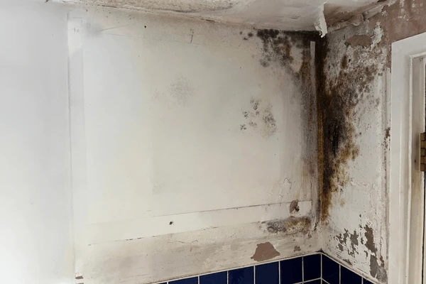 black-mould-on-kitchen-wall