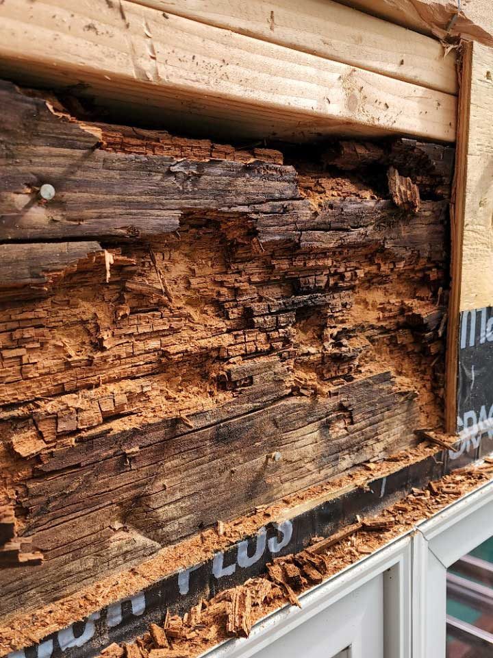 dry-rot-timber